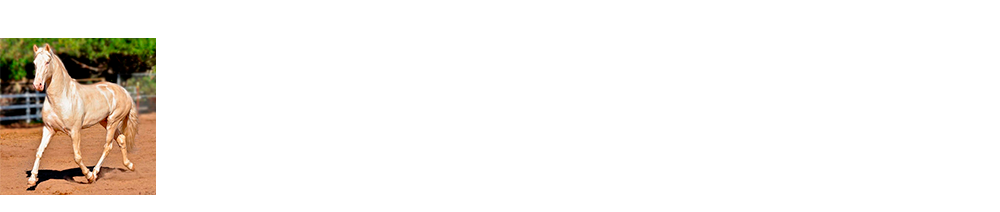 ¿Sabrías decir si este caballo es así?